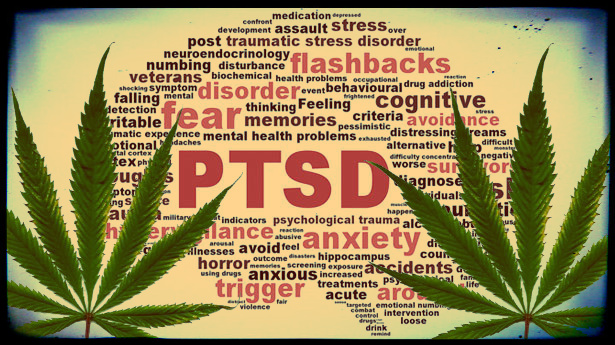 Cannabis for PTSD