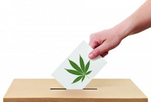 voting for marijuana