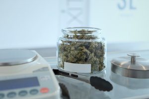 MetroXMD helps Maryland patients gain legal access to medicine from eight new Maryland medical cannabis growers.